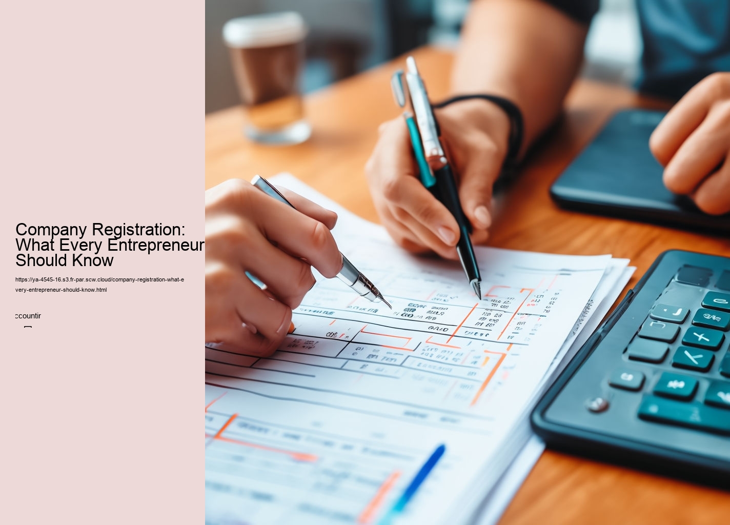 Company Registration: What Every Entrepreneur Should Know